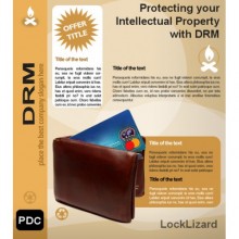 Protecting your Intellectual Property with DRM Protecting your Intellectual Property with DRM